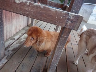 f:id:roukenhome-ann:20190107184641j:plain f:id:roukenhome-ann:20190107184641j:plain