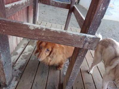 f:id:roukenhome-ann:20190107184646j:plain f:id:roukenhome-ann:20190107184646j:plain