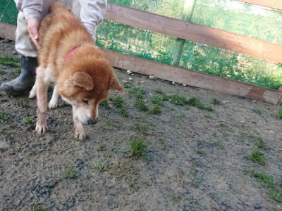 f:id:roukenhome-ann:20190107185240j:plain f:id:roukenhome-ann:20190107185240j:plain