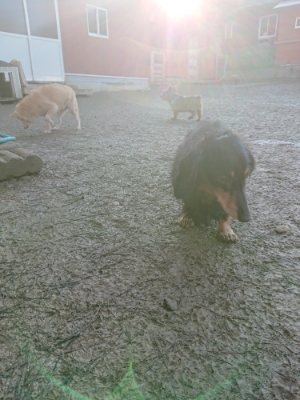 f:id:roukenhome-ann:20190107185248j:plain f:id:roukenhome-ann:20190107185248j:plain