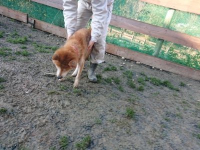 f:id:roukenhome-ann:20190107185309j:plain f:id:roukenhome-ann:20190107185309j:plain