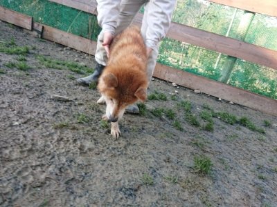 f:id:roukenhome-ann:20190107185314j:plain f:id:roukenhome-ann:20190107185314j:plain
