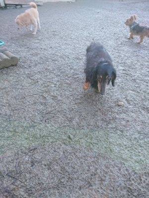 f:id:roukenhome-ann:20190107185319j:plain f:id:roukenhome-ann:20190107185319j:plain