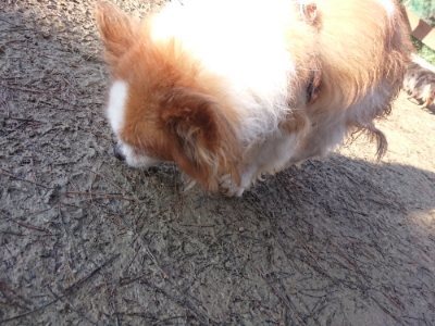 f:id:roukenhome-ann:20190107185348j:plain f:id:roukenhome-ann:20190107185348j:plain