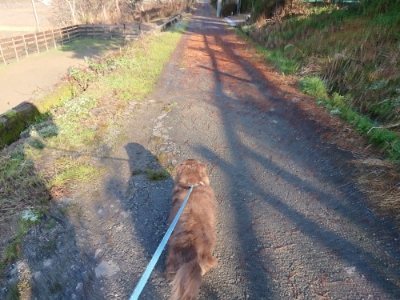 f:id:roukenhome-ann:20190107185719j:plain f:id:roukenhome-ann:20190107185719j:plain