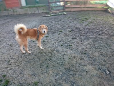f:id:roukenhome-ann:20190107185807j:plain f:id:roukenhome-ann:20190107185807j:plain