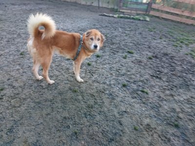 f:id:roukenhome-ann:20190107185812j:plain f:id:roukenhome-ann:20190107185812j:plain