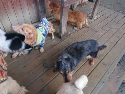 f:id:roukenhome-ann:20190107185826j:plain f:id:roukenhome-ann:20190107185826j:plain