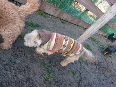 f:id:roukenhome-ann:20190107200207j:plain