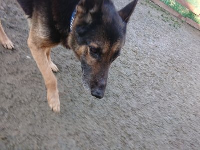 f:id:roukenhome-ann:20190107200320j:plain