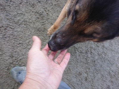 f:id:roukenhome-ann:20190107200327j:plain