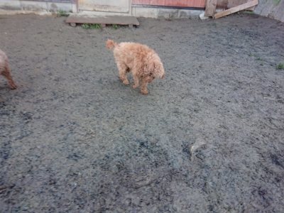 f:id:roukenhome-ann:20190107200410j:plain