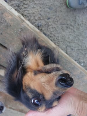 f:id:roukenhome-ann:20190107201215j:plain