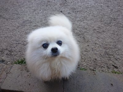 f:id:roukenhome-ann:20190107201611j:plain