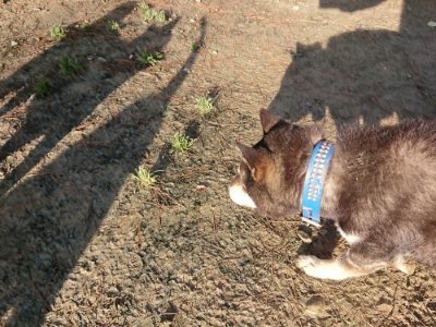 f:id:roukenhome-ann:20190107201700j:plain