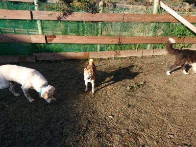 f:id:roukenhome-ann:20190107201730j:plain