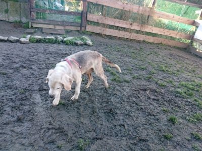 f:id:roukenhome-ann:20190107201740j:plain