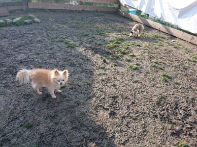 f:id:roukenhome-ann:20190109052541j:plain