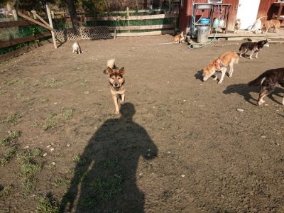 f:id:roukenhome-ann:20190109052638j:plain