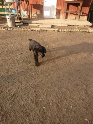 f:id:roukenhome-ann:20190109052709j:plain