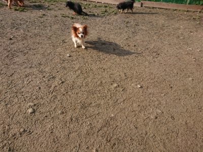 f:id:roukenhome-ann:20190109053040j:plain