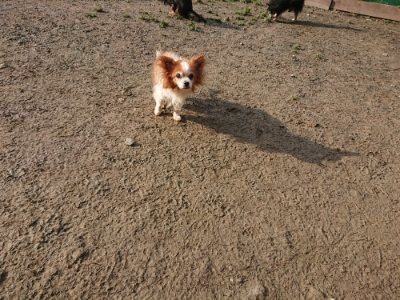 f:id:roukenhome-ann:20190109053058j:plain