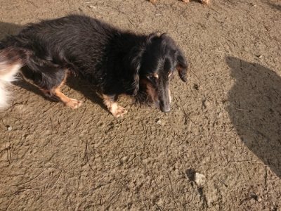 f:id:roukenhome-ann:20190109053128j:plain