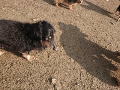 f:id:roukenhome-ann:20190109053148j:plain