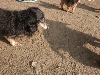 f:id:roukenhome-ann:20190109053153j:plain