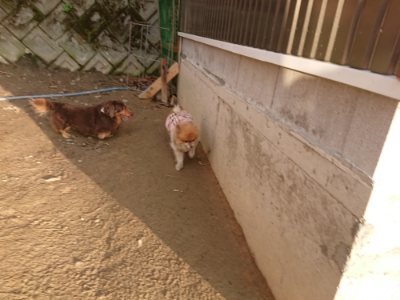 f:id:roukenhome-ann:20190109053202j:plain