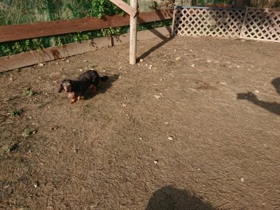 f:id:roukenhome-ann:20190109053246j:plain