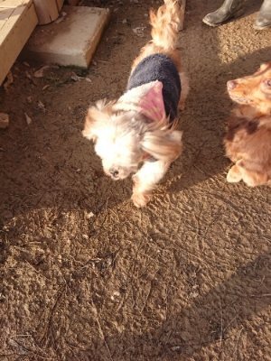 f:id:roukenhome-ann:20190109053255j:plain