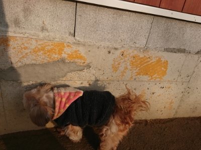 f:id:roukenhome-ann:20190109053437j:plain