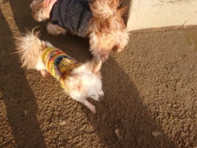 f:id:roukenhome-ann:20190109053548j:plain