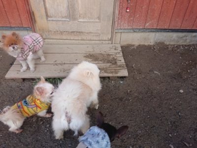 f:id:roukenhome-ann:20190109053553j:plain