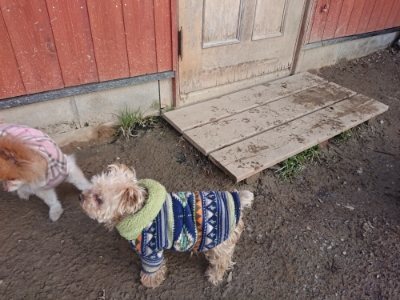 f:id:roukenhome-ann:20190109053628j:plain