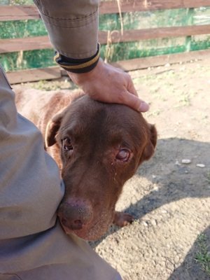 f:id:roukenhome-ann:20190109065729j:plain