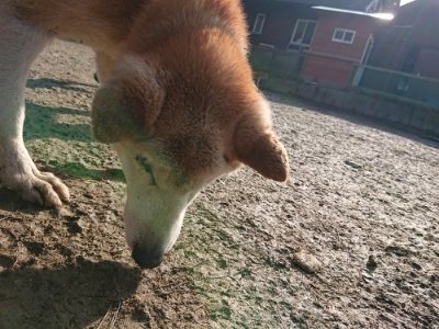 f:id:roukenhome-ann:20190109065947j:plain