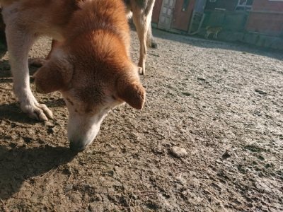 f:id:roukenhome-ann:20190109070007j:plain