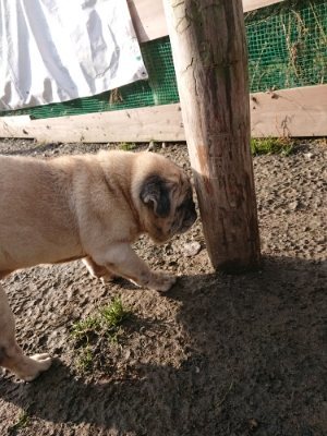f:id:roukenhome-ann:20190109070016j:plain