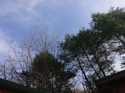 f:id:roukenhome-ann:20190109071446j:plain