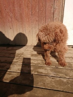 f:id:roukenhome-ann:20190109071738j:plain