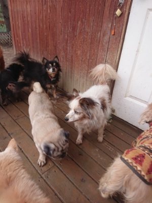 f:id:roukenhome-ann:20190110173606j:plain f:id:roukenhome-ann:20190110173606j:plain