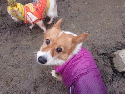 f:id:roukenhome-ann:20190110173637j:plain f:id:roukenhome-ann:20190110173637j:plain