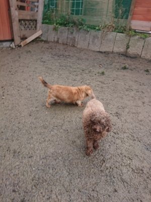 f:id:roukenhome-ann:20190110173657j:plain f:id:roukenhome-ann:20190110173657j:plain