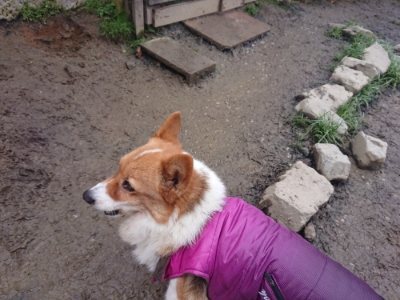 f:id:roukenhome-ann:20190110173708j:plain f:id:roukenhome-ann:20190110173708j:plain