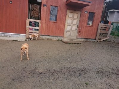 f:id:roukenhome-ann:20190110173837j:plain f:id:roukenhome-ann:20190110173837j:plain