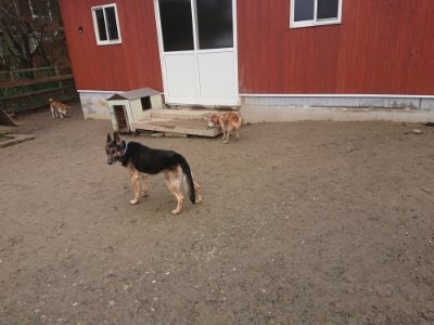 f:id:roukenhome-ann:20190110173843j:plain f:id:roukenhome-ann:20190110173843j:plain