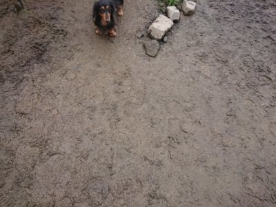 f:id:roukenhome-ann:20190110173904j:plain f:id:roukenhome-ann:20190110173904j:plain