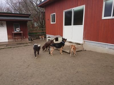 f:id:roukenhome-ann:20190110174004j:plain f:id:roukenhome-ann:20190110174004j:plain